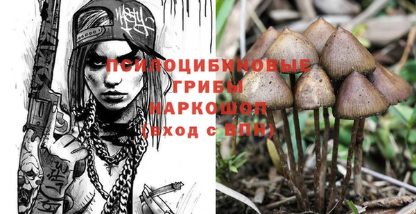 марки lsd Бугульма